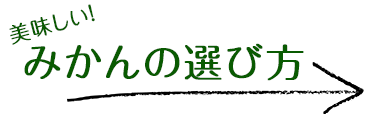 美味しい！みかんの選び方