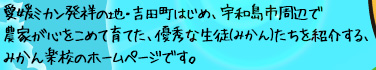 愛媛ミカン発祥の地・吉田町はじめ、宇和島市周辺で農家が心をこめて育てた、優秀な生徒(みかん)たちを紹介する、みかん楽校のホームページです。