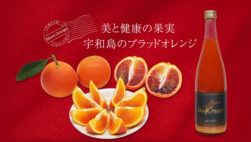 美と健康の果実　宇和島のブラッドオレンジ